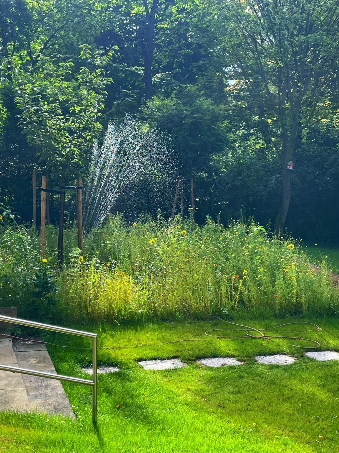 Garten Impression 11