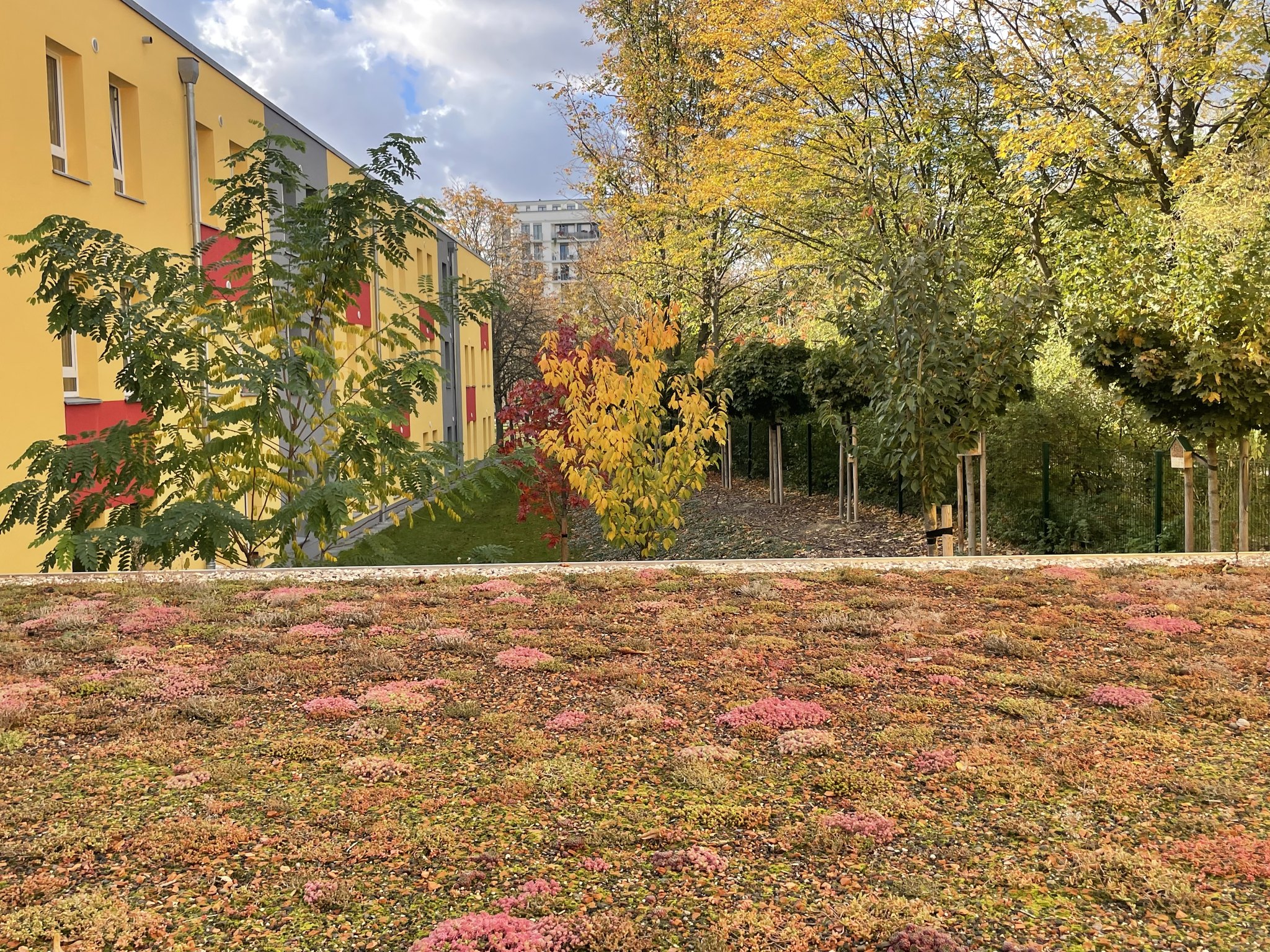 Garten Impression 12