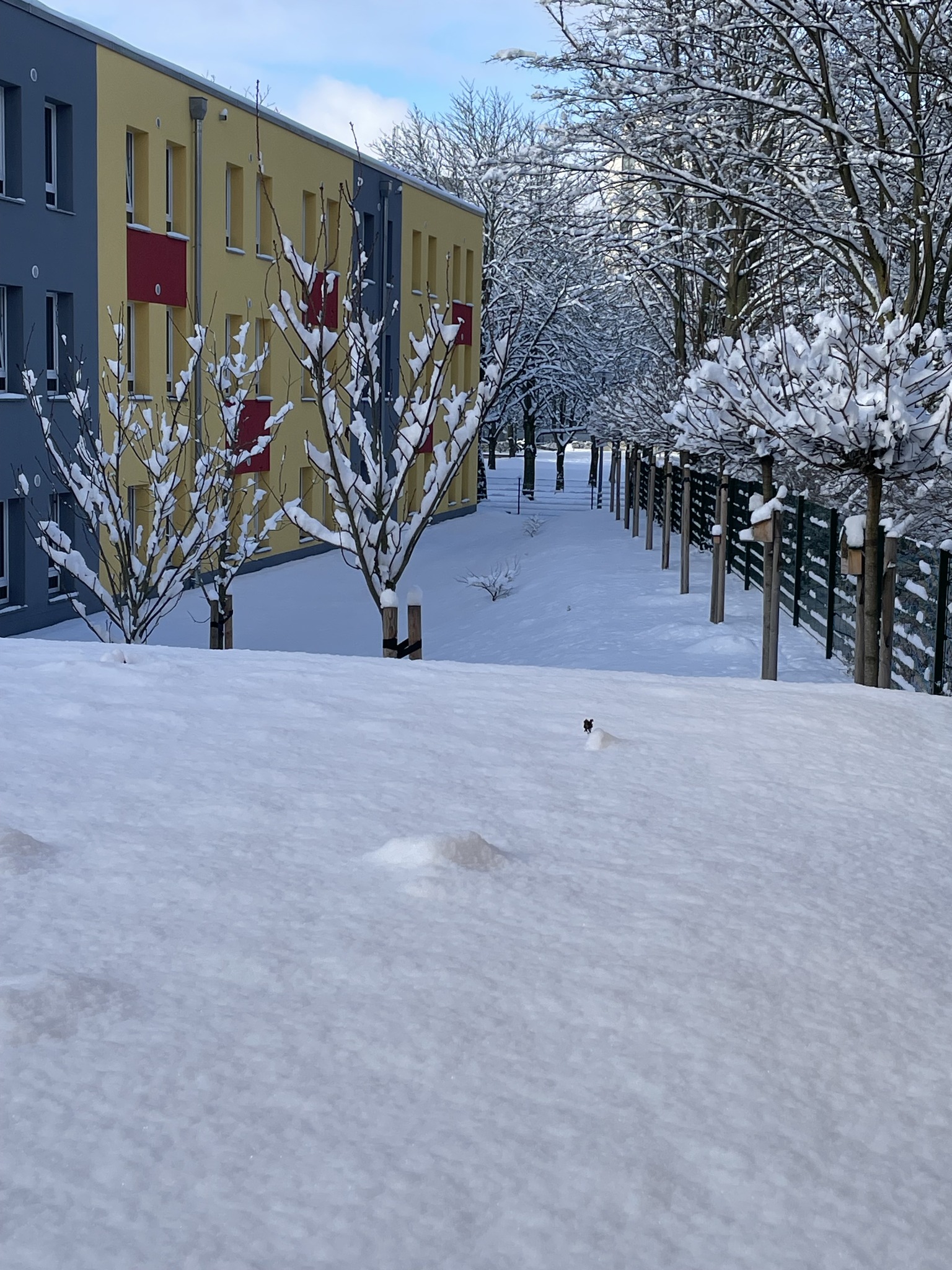 Garten Impression 13