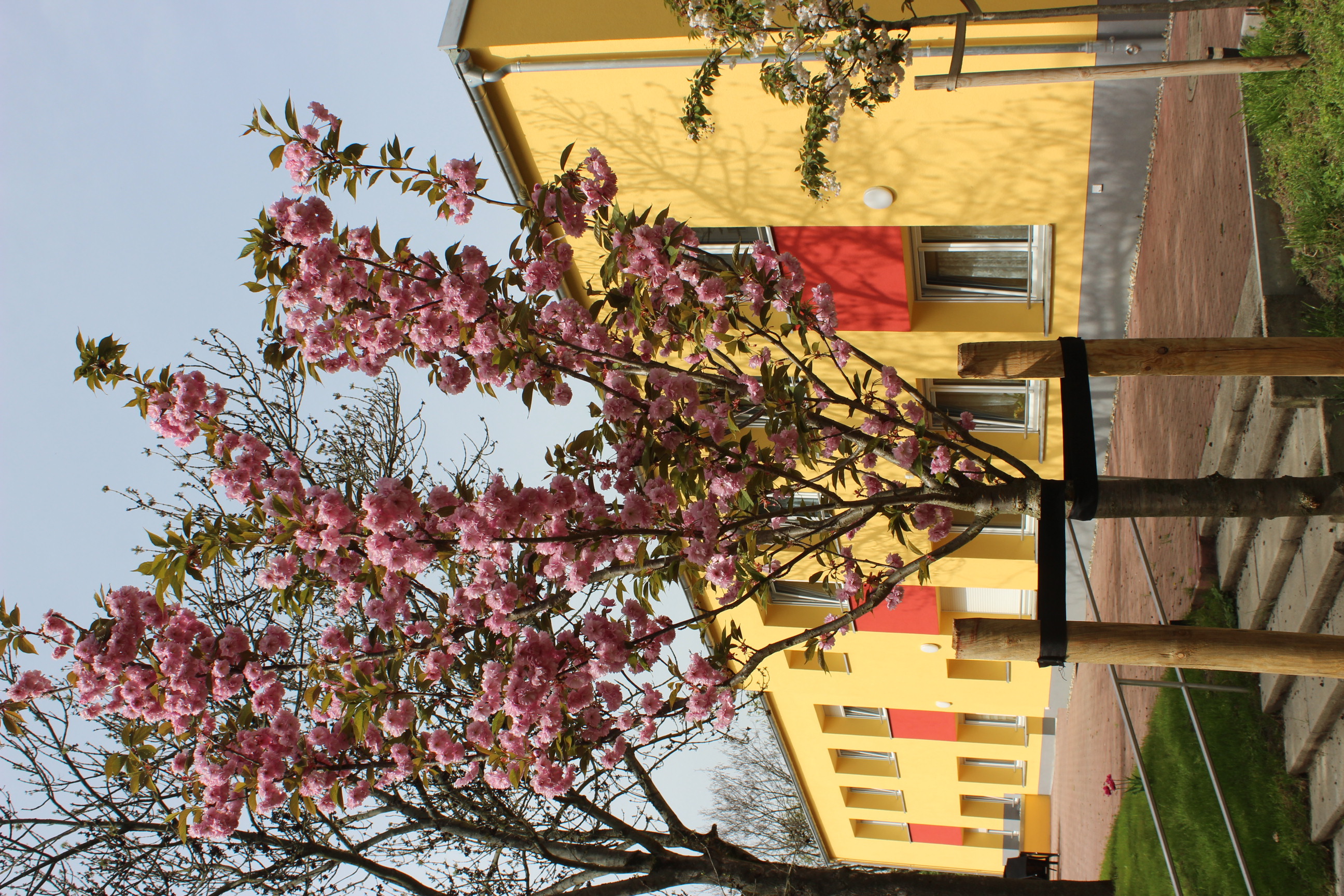 Haus Anna – Barrierefreie Seniorenwohnungen Berlin-Lichtenberg