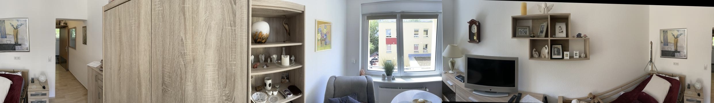 Einzimmerapartment Typ 1 Panorama